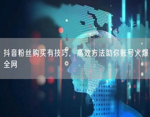 抖音粉丝购买有技巧，高效方法助你账号火爆