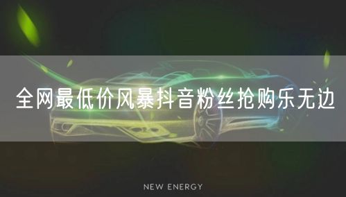 全网最低价风暴抖音粉丝抢购乐无边