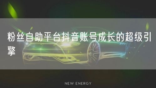 粉丝自助平台抖音账号成长的超级引擎