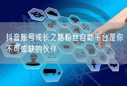 抖音账号成长之路粉丝自助平台是你不可或缺