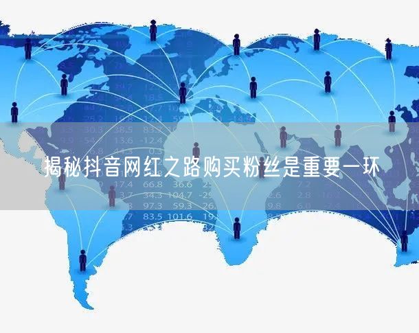 揭秘抖音网红之路购买粉丝是重要一环