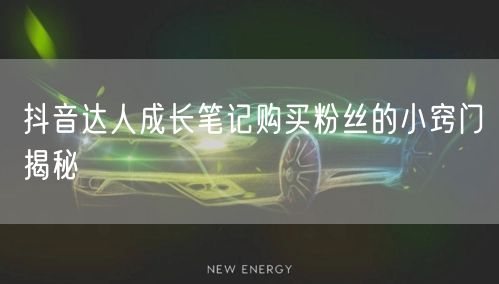 抖音达人成长笔记购买粉丝的小窍门揭秘