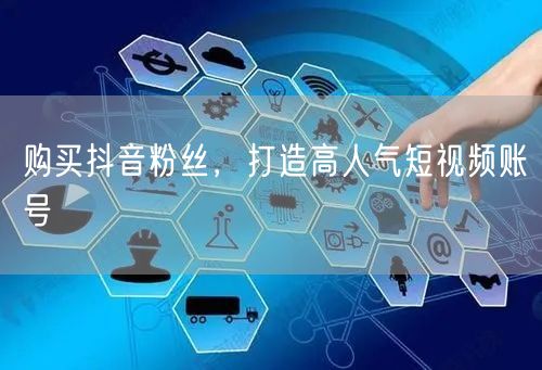 购买抖音粉丝，打造高人气短视频账号