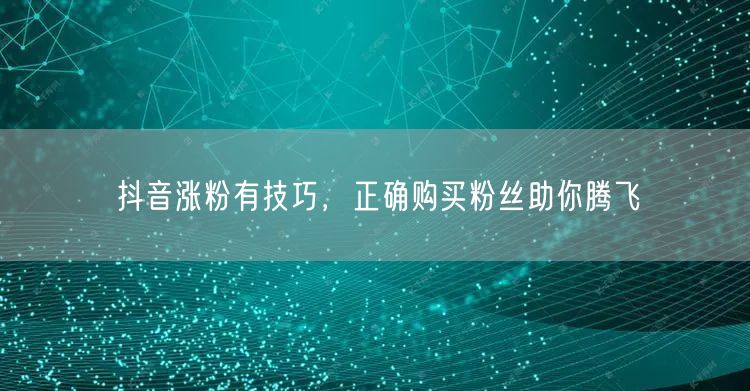抖音涨粉有技巧,正确购买粉丝助你腾飞