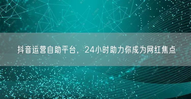 抖音运营自助平台,24小时助力你成为网红