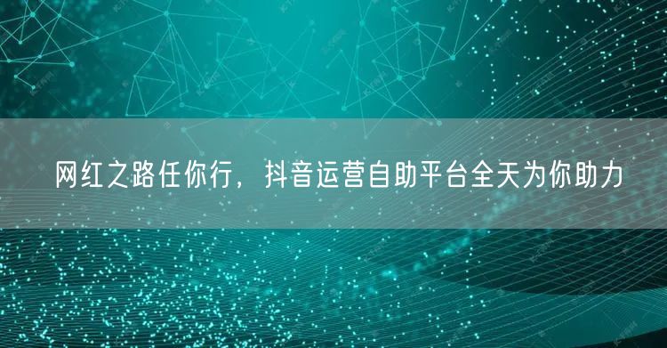 网红之路任你行，抖音运营自助平台全天为你