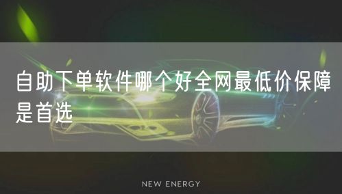 自助下单软件哪个好全网最低价保障是首选