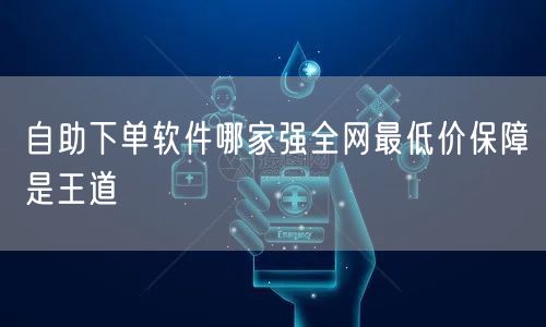 自助下单软件哪家强全网最低价保障是王道