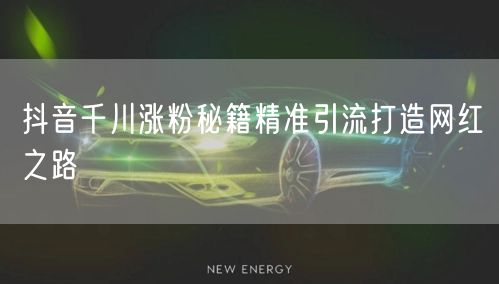 抖音千川涨粉秘籍精准引流打造网红之路