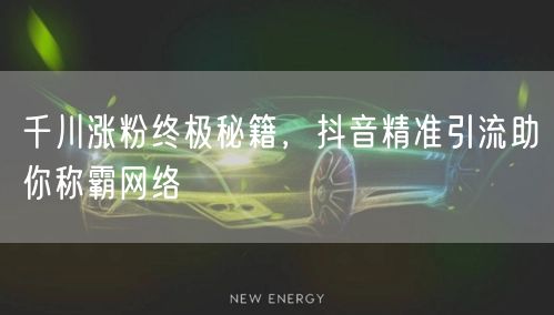 千川涨粉终极秘籍，抖音精准引流助你称霸网