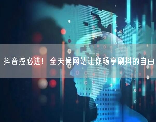 抖音控必进！全天候网站让你畅享刷抖的自由