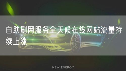 自助刷网服务全天候在线网站流量持续上涨