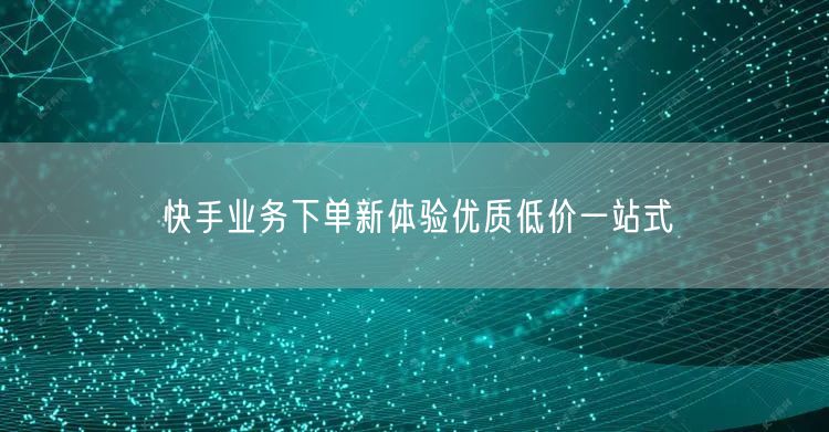 快手业务下单新体验优质低价一站式