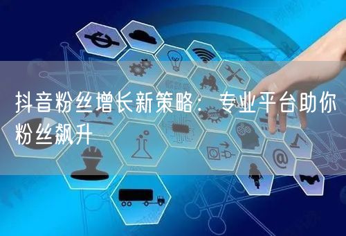 抖音粉丝增长新策略：专业平台助你粉丝飙升
