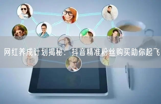 网红养成计划揭秘：抖音精准粉丝购买助你起