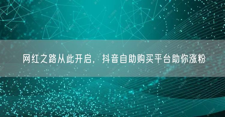 网红之路从此开启，抖音自助购买平台助你涨
