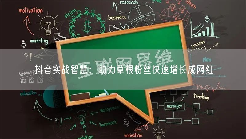 抖音实战智慧：助力草根粉丝快速增长成网红