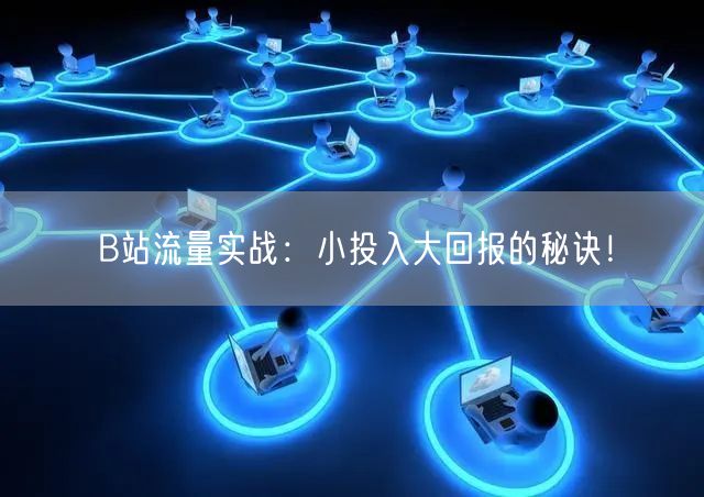 B站流量实战：小投入大回报的秘诀！
