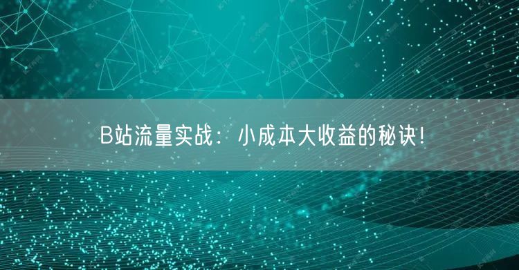 B站流量实战：小成本大收益的秘诀！