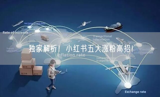 独家解析！小红书五大涨粉高招！