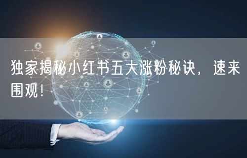 独家揭秘小红书五大涨粉秘诀，速来围观！