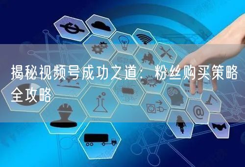 揭秘视频号成功之道：粉丝购买策略全攻略