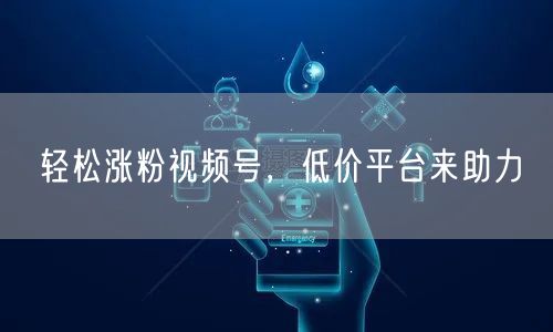 轻松涨粉视频号，低价平台来助力