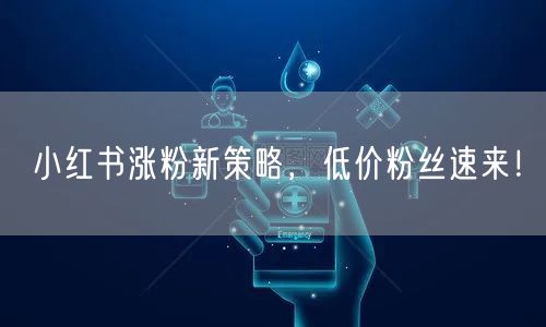 小红书涨粉新策略，低价粉丝速来！