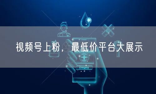 视频号上粉，最低价平台大展示