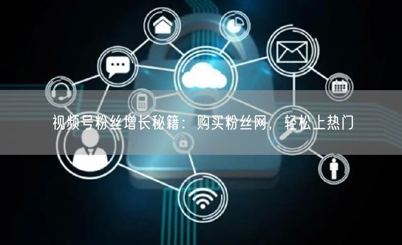 视频号粉丝增长秘籍:购买粉丝网,轻松上热
