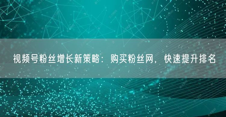 视频号粉丝增长新策略:购买粉丝网,快速提