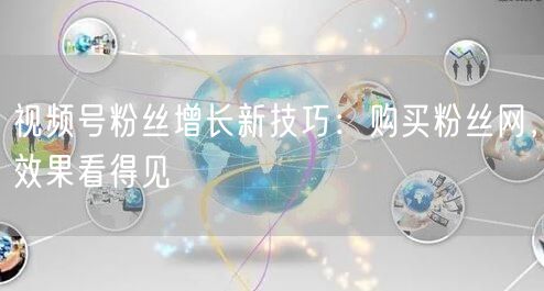 视频号粉丝增长新技巧:购买粉丝网,效果看
