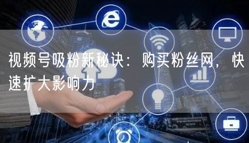 视频号吸粉新秘诀:购买粉丝网,快速扩大影