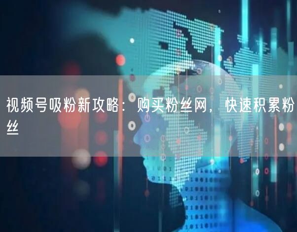 视频号吸粉新攻略:购买粉丝网,快速积累粉
