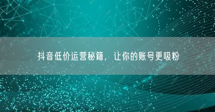 抖音低价运营秘籍，让你的账号更吸粉