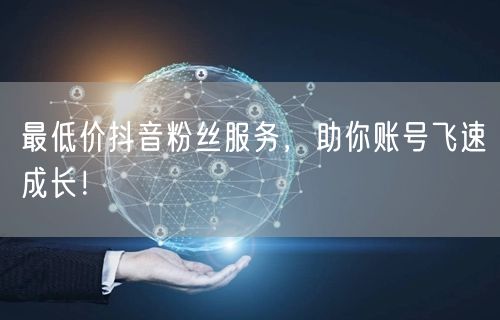 最低价抖音粉丝服务，助你账号飞速成长！