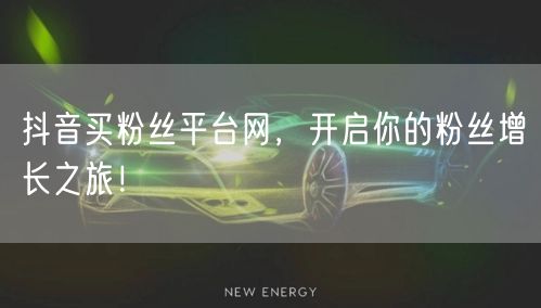 抖音买粉丝平台网，开启你的粉丝增长之旅！