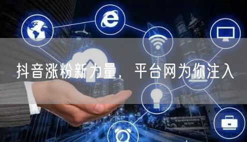 抖音涨粉新力量，平台网为你注入