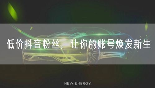 低价抖音粉丝，让你的账号焕发新生